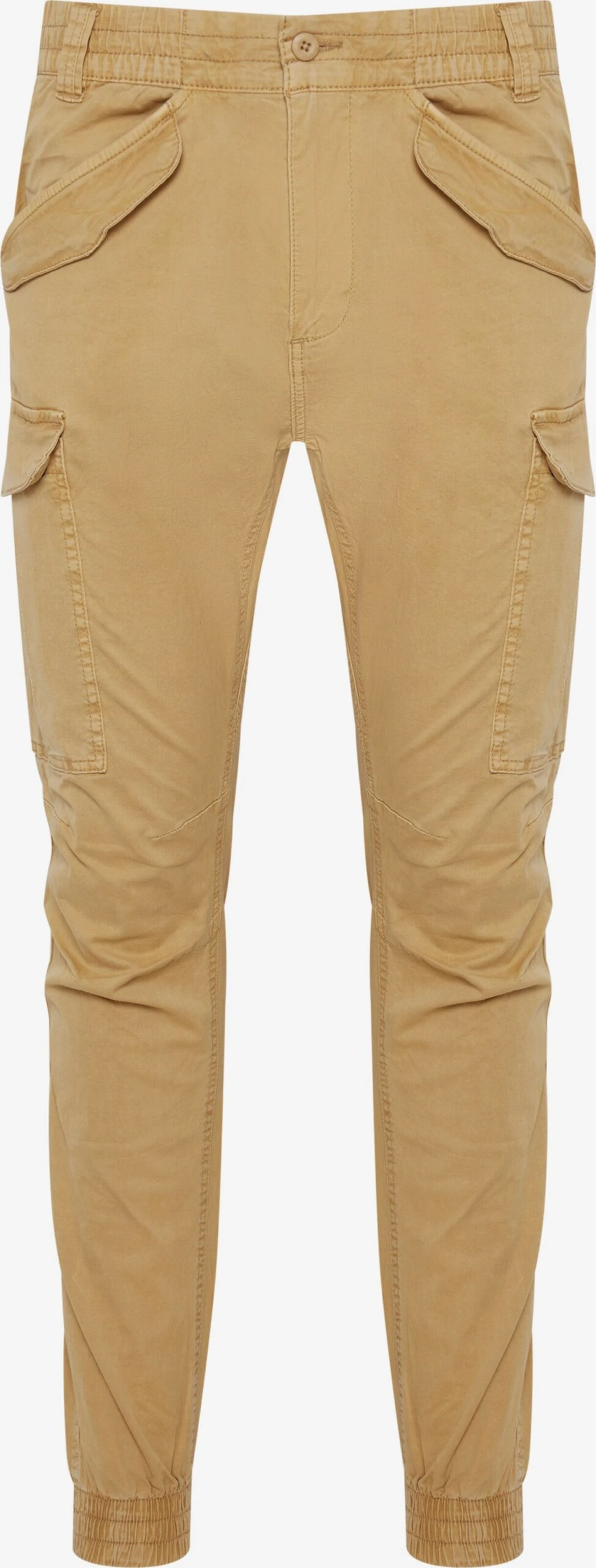 Indicode Jeans Cargobroeken Regular Cargobroek NUVA Heren Beige 1 Indicode Jeans Cargobroeken Regular Cargobroek NUVA Heren Beige