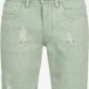 Indicode Jeans Denim Shorts Regular Jeans Page Heren Groen
